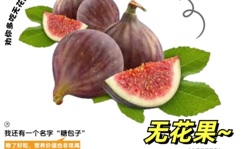 芝麻油和白醋洗脸的功效-芝麻油擦脸有什么功效专区_芝麻油洗脸的功效与作用专区_芝麻油滴鼻子的功效网